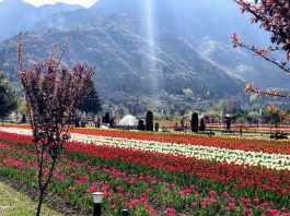 Top 5 Places for Family Trip To Jammu And Kashmir